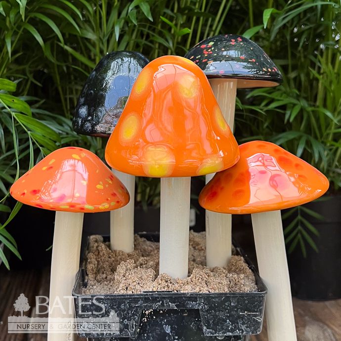 Halloween Shroomyz Small (S) 9&quot;