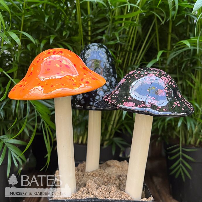 Halloween Shroomyz Medium Sml (MS) 12&quot;