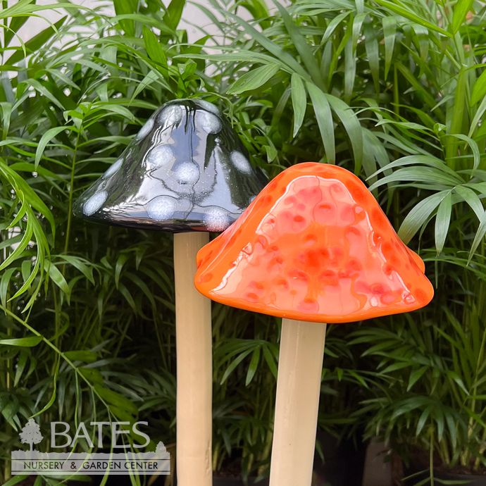 Halloween Shroomyz Large (L) 16&quot;