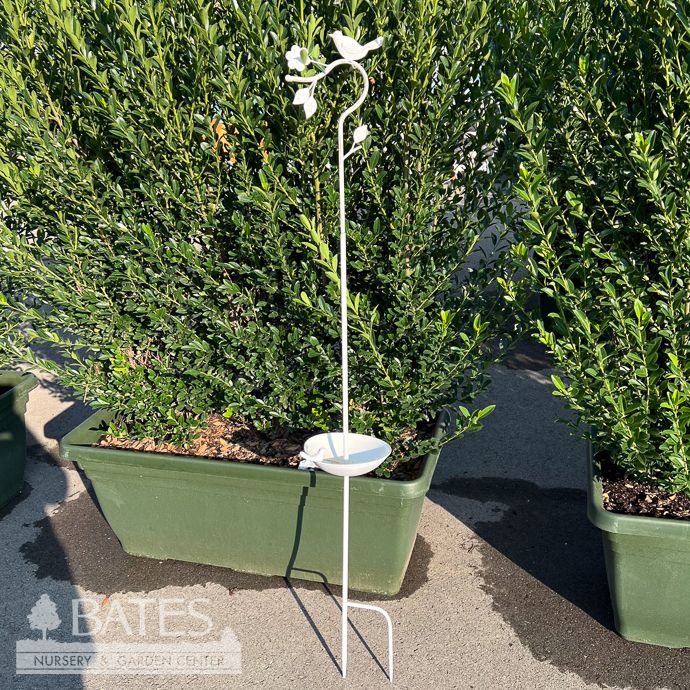 Birdbath w/Bird on Pole Cream 54x8 Metal