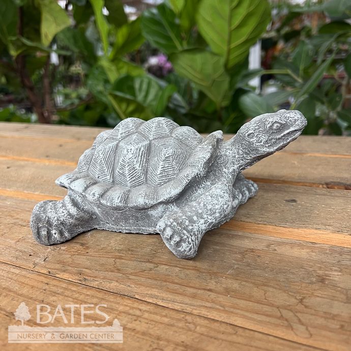Statuary Turtle Xsm 8L