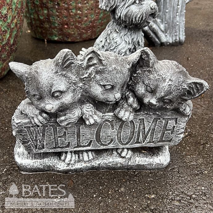 Statuary Welcome Kittens/Cats 13L