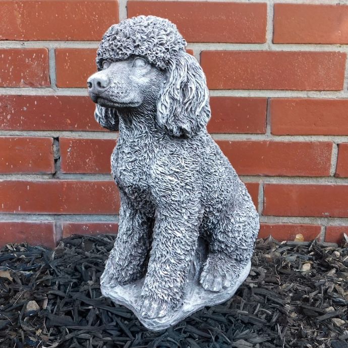 Statuary Poodle Dog 14H