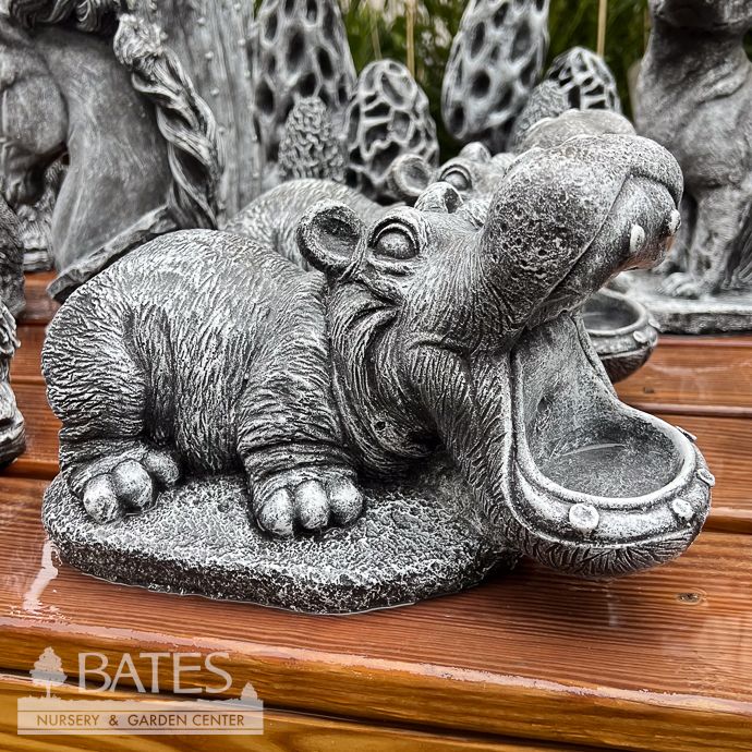 Statuary Wide Mouth Hippo 12L