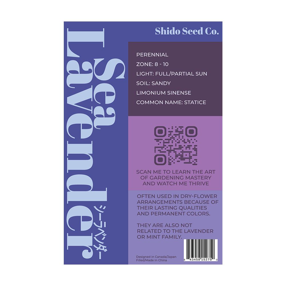 Seed Flwr Sea Lavender Flower /Statice /Limonium spp - Shido