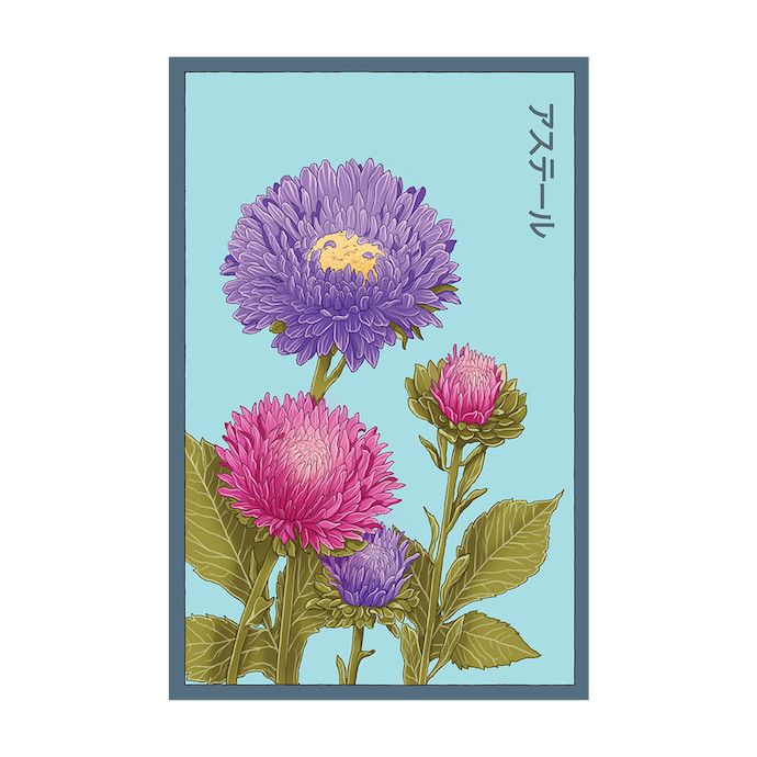 Seed Flwr Aster Flower /Callistephus chinensis - Shido