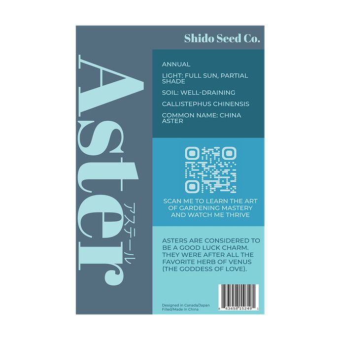 Seed Flwr Aster Flower /Callistephus chinensis - Shido
