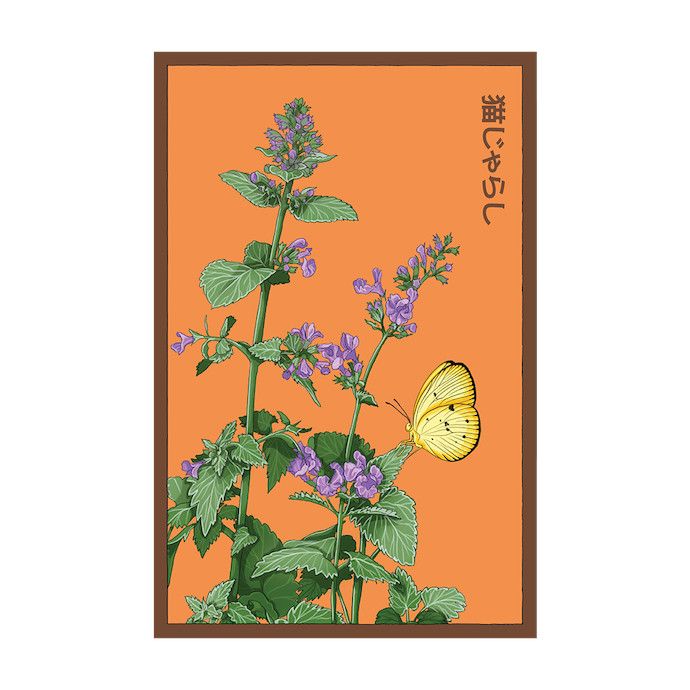 Seed Flwr Catnip Flower /Catmint /Nepeta cataria - Shido