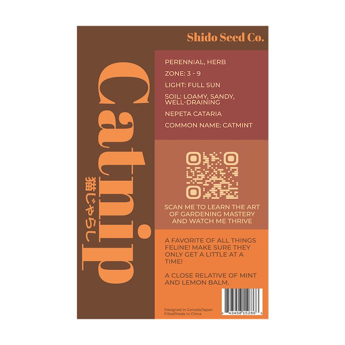 Seed Flwr Catnip Flower /Catmint /Nepeta cataria - Shido