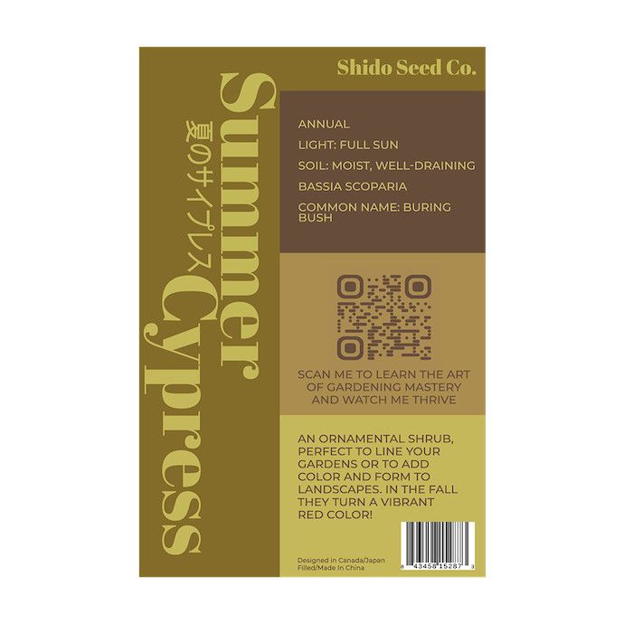 Seed Flwr Summer Cypress Flower /Bassia scoparia - Shido