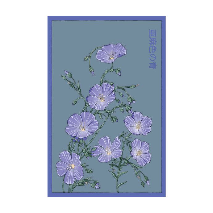 Seed Flwr Flax Blue Flower /Linum perenne - Shido