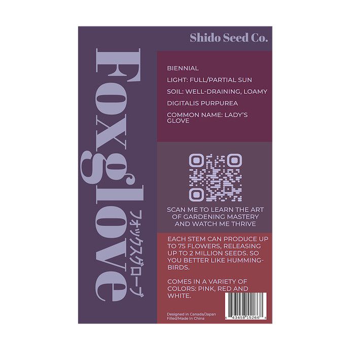 Seed Flwr Foxglove Flower /Digitalis purpurea - Shido