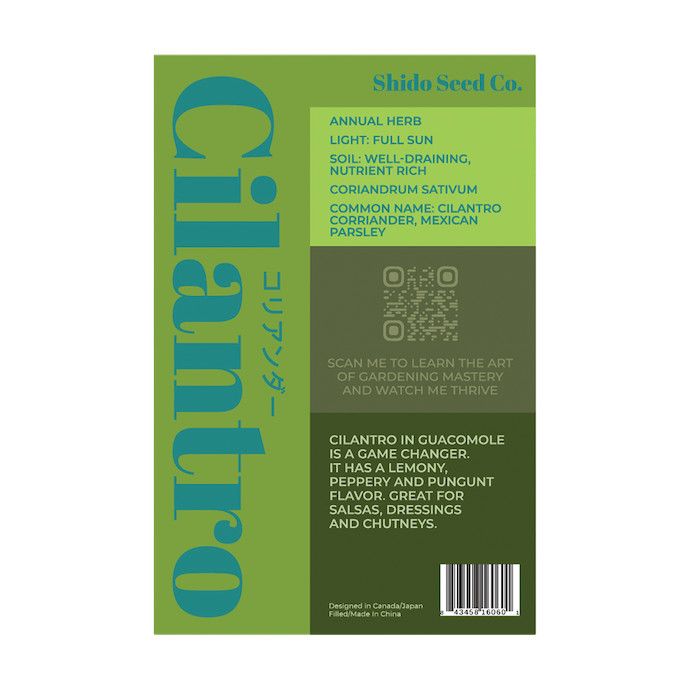 Seed Herb Cilantro /Coriandrum sativum - Shido