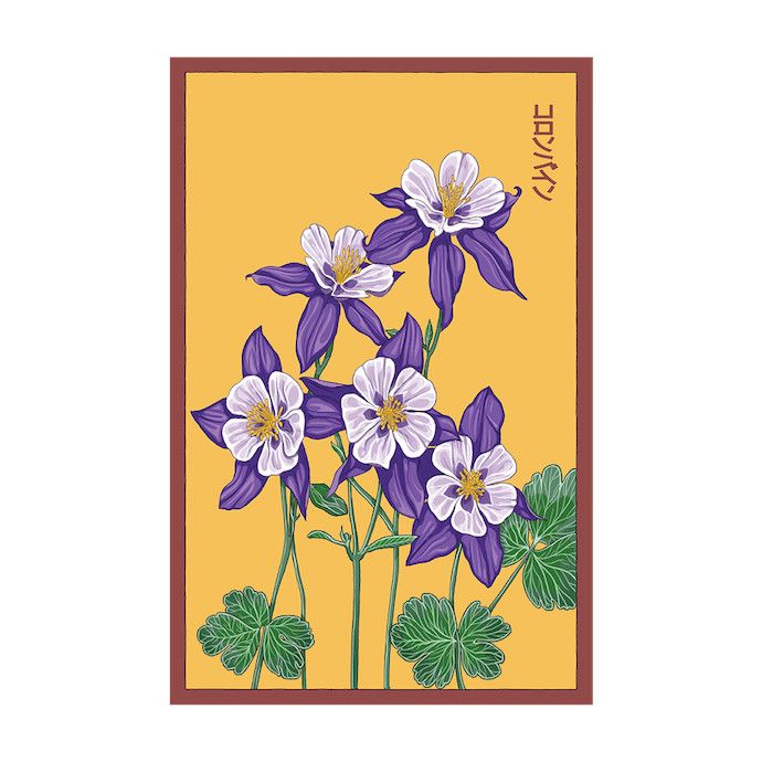 Seed Flwr Columbine Flower /European Crowfoot /Aquilegia - Shido