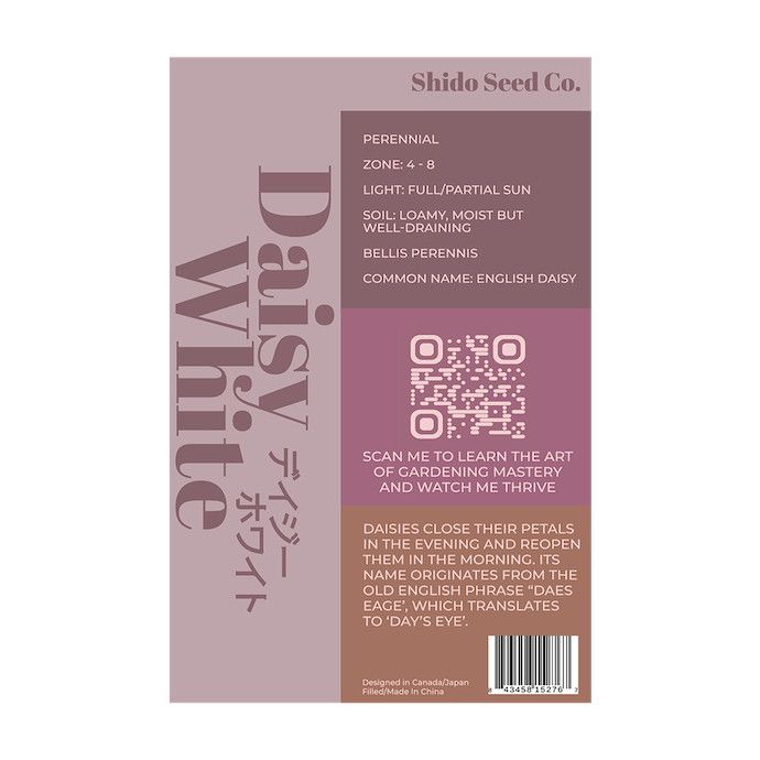 Seed Flwr Daisy White Flower /Leucanthemum spp &amp; Bellis perennis - Shido