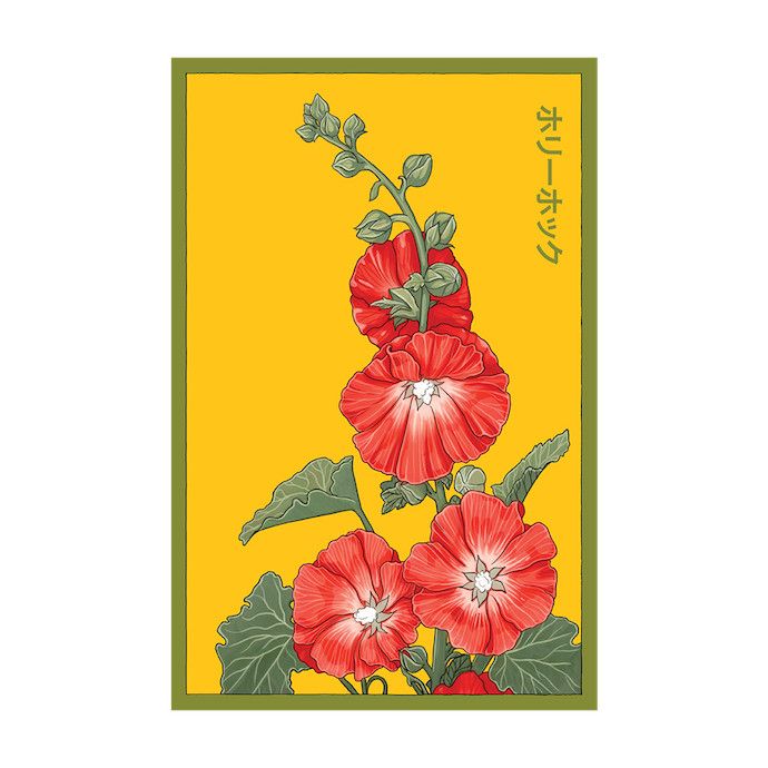 Seed Flwr Hollyhock Flower /Alcea rosea - Shido