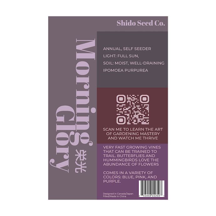 Seed Flwr Morning Glory Flower /Ipomoea spp - Shido