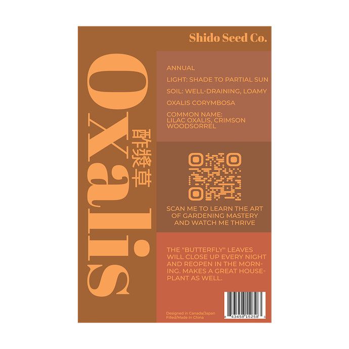 Seed Flwr Oxalis Flower /Wood Sorrel /Oxalis corymbosa - Shido