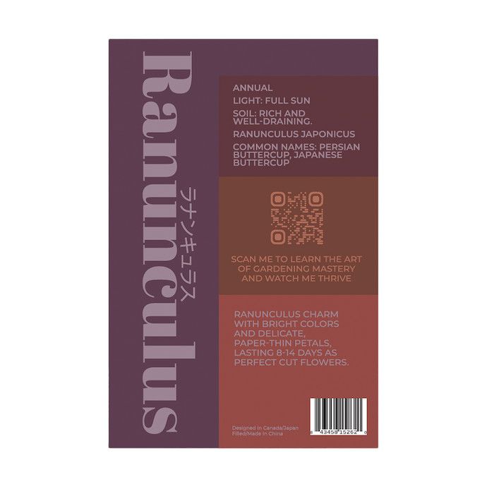 Seed Flwr Ranunculus Flower /Persian Buttercups /Ranunculus asiaticus - Shido