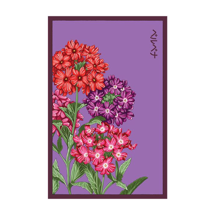 Seed Flwr Verbena Flower /Verbena spp - Shido