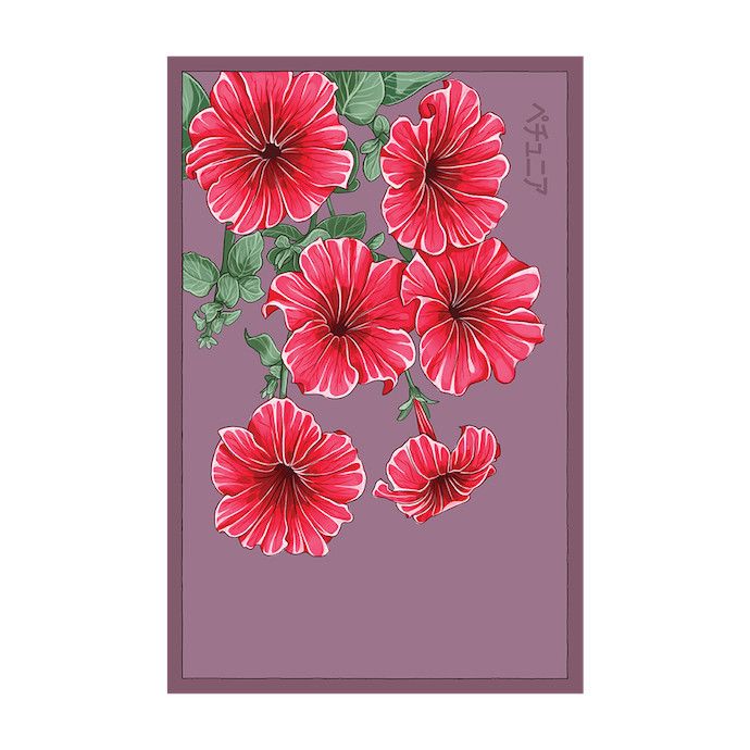 Seed Flwr Trailing Petunia Flower /Petunia spp - Shido