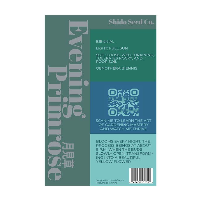 Seed Flwr Evening Primrose Flower /Oenothera biennis - Shido Native (TN)