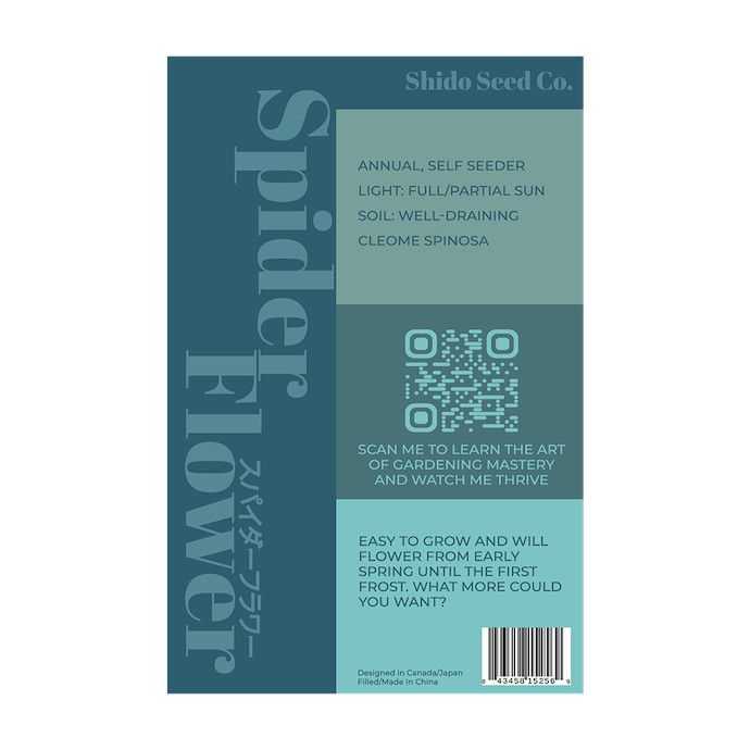 Seed Flwr Spiny Spiderflower Flower /Cleome spinosa - Shido