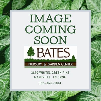 BAG EarthMix® Landscape™ Premium Soil Conditioner PSC / 36L / 1.25 cu ft - Red Bag Edition