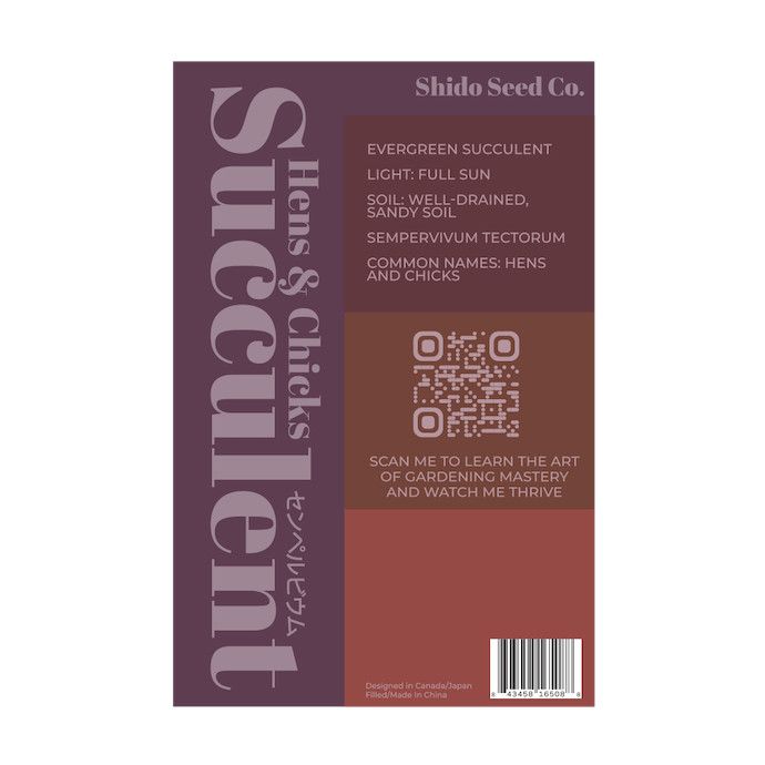 Seed Flwr Hens and Chicks Succulent Indoor Seeds - Shido