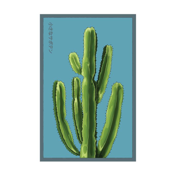 Seed Indoor Seeds Small Mixed Cacti /Various Cactaceae - Shido