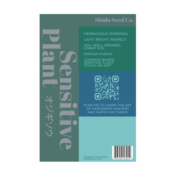 Seed Flwr Sensitive Plant Flower /Mimosa pudica - Shido
