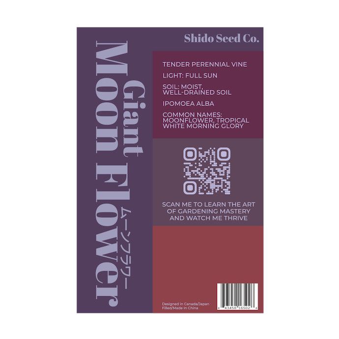Seed Flwr Giant Moonflower Flower /Ipomoea alba - Shido