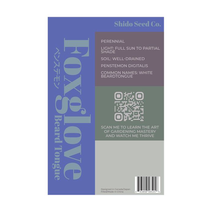 Seed Flwr Foxglove Beard Tongue Flower /Penstemon digitalis - Shido