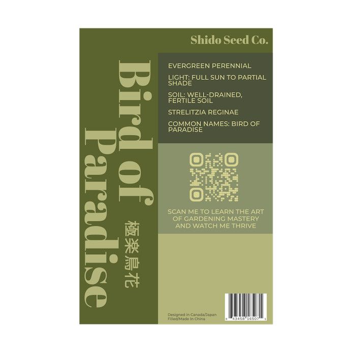 Seed Flwr Bird of Paradise Flower /Strelitzia reginae - Shido