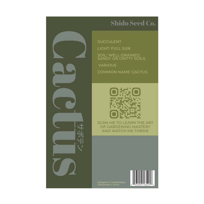 Seed Indoor Seeds Cactus /Cactaceae assorted - Shido
