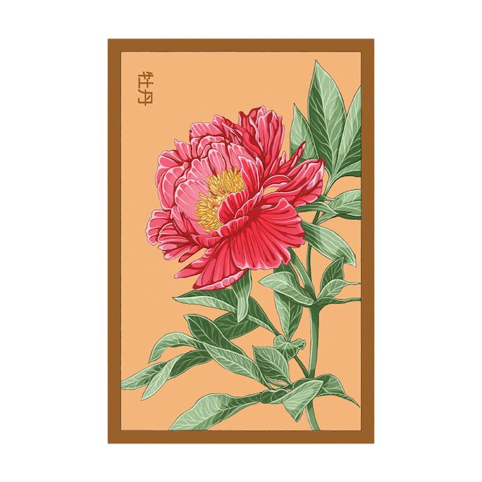 Seed Flwr Peony Flower /Paeonia suffroticosa - Shido
