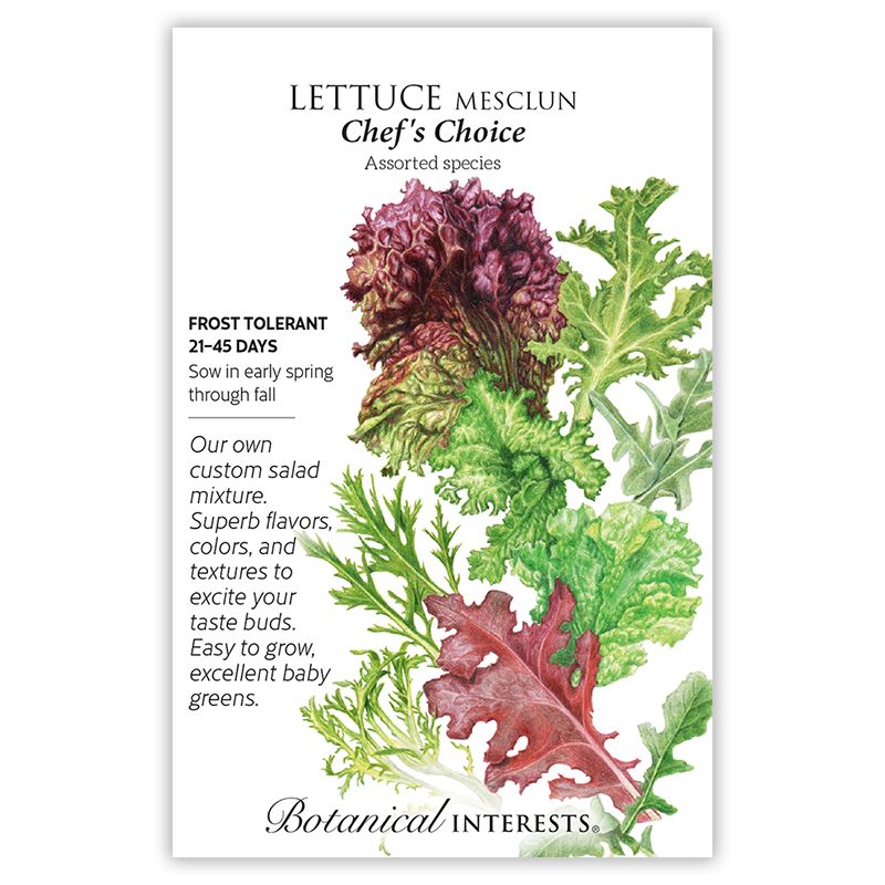 Seed Veg Lettuce Mesclun Chef&#39;s Choice - Assorted species