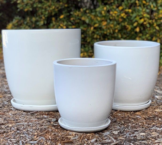 Pot Short Egg w/att Saucer Med 11x11 Asst