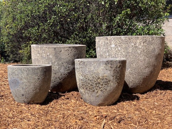 Pot Pham Egg Med 15x13 Atlantis Asst