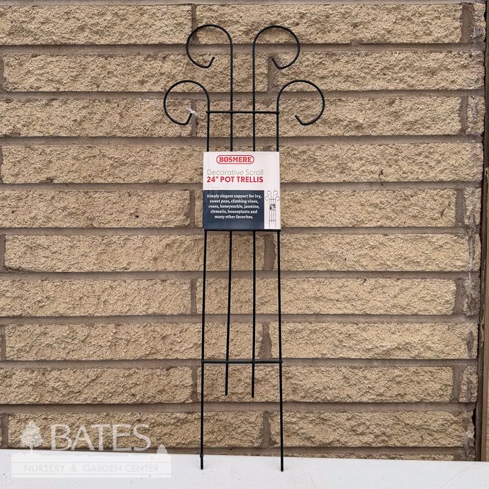 Trellis /Pot Trellis Scroll Top 24&quot; Tall Green Metal