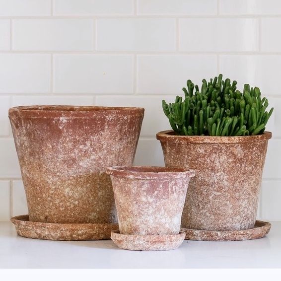 Pot Vesuvius w/Saucer Lrg 9.75x8.75 Red Aged  Terracotta