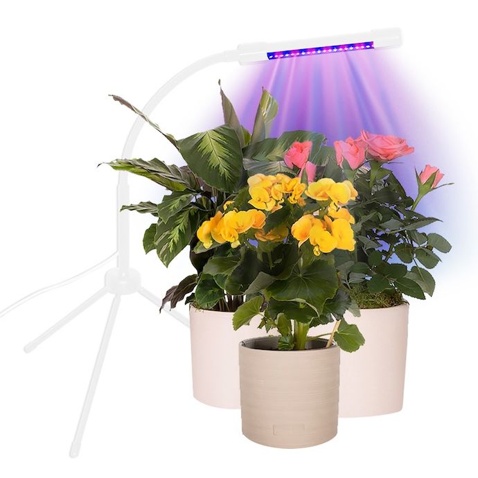 Plant Grow Light Single Stem Plant Booster TDI