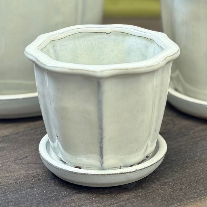 Pot Wide Slats w/Flattened Rim Tulip Lrg 6.75x5.5 Asst