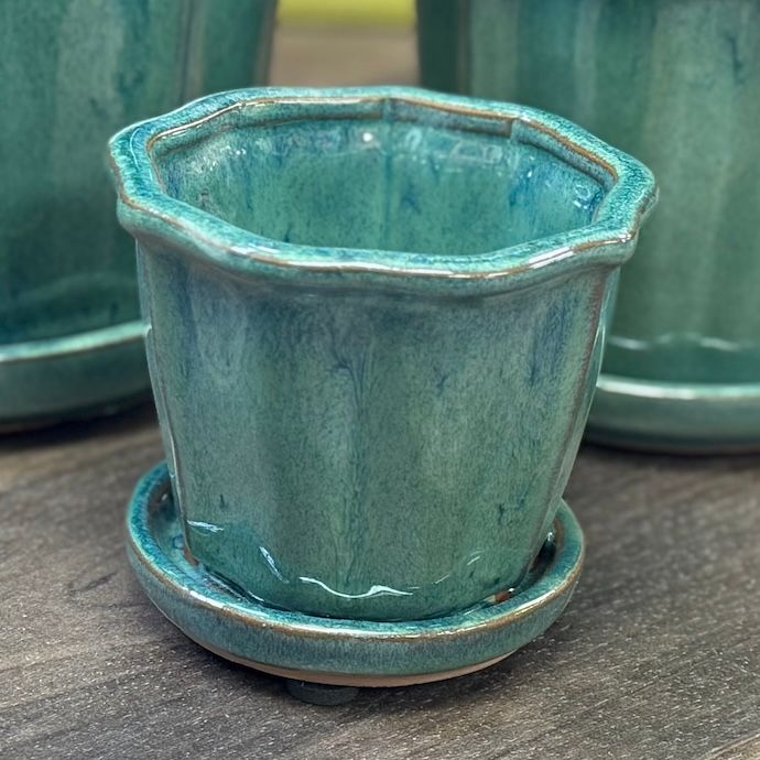 Pot Wide Slats w/Flattened Rim Tulip Lrg 6.75x5.5 Asst