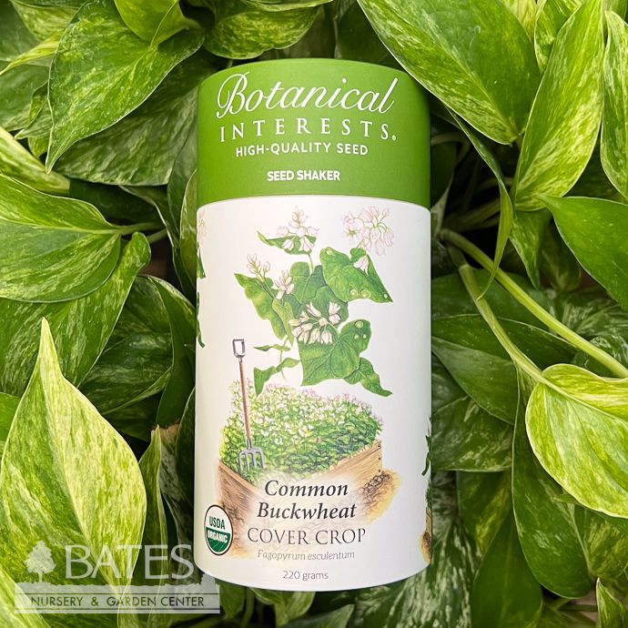 Seed Shaker/ Scatter Seeds Cover Crop Buckwheat Organic