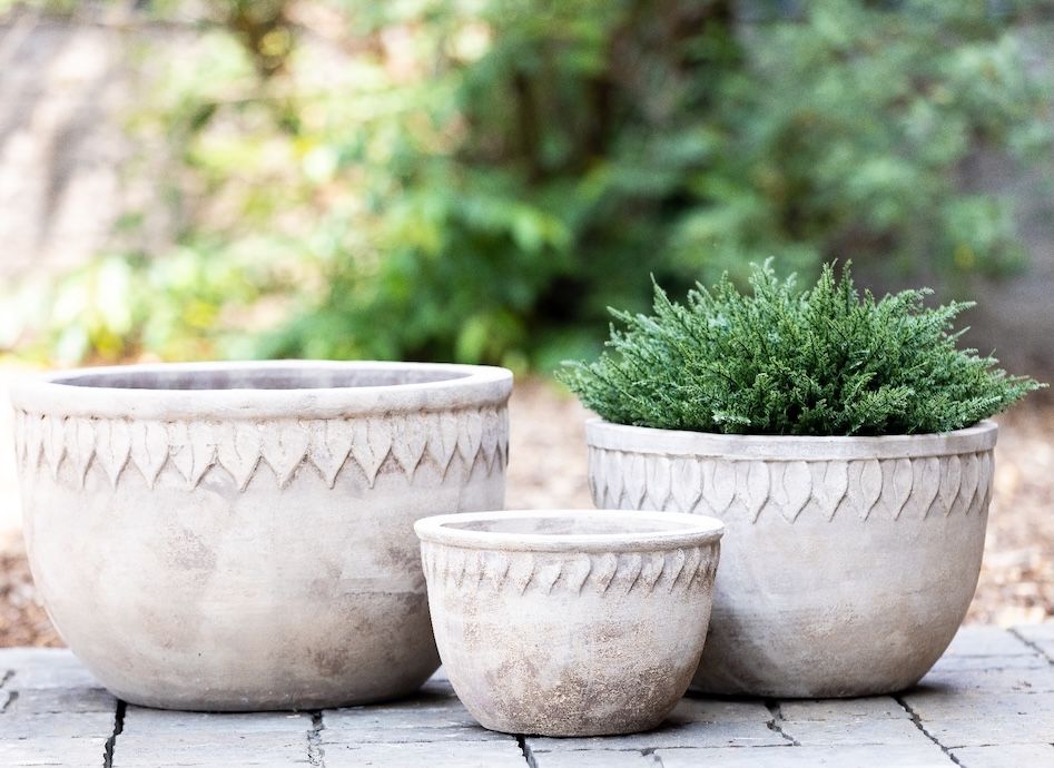 Pot/Bowl Folia w/Leaf Rim Med 17x11 Antq or Wash Terracotta