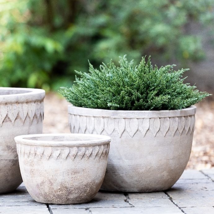 Pot/Bowl Folia w/Leaf Rim Med 17x11 Antq or Wash Terracotta