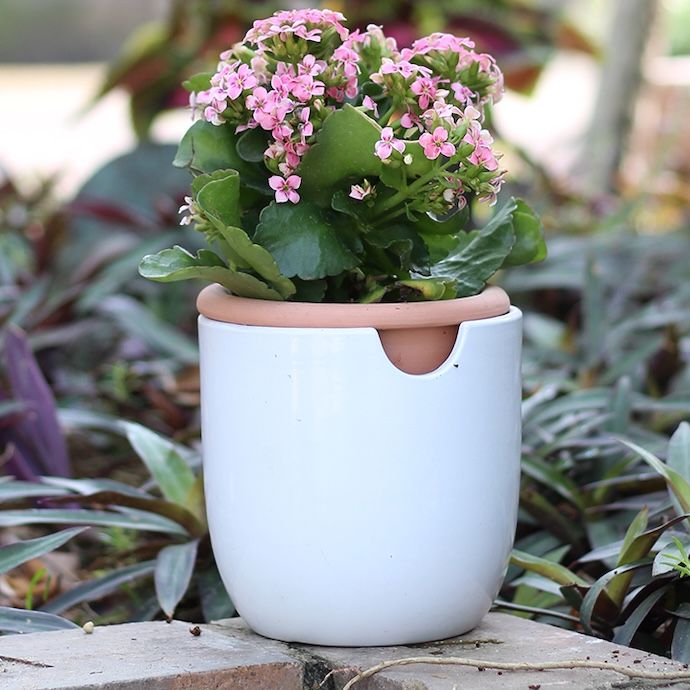 Pot Self Watering Egg Sml 5.5x6 White