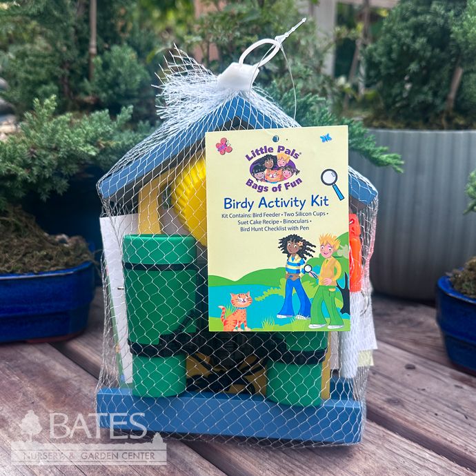 Little Pals Birdy Activity Kit