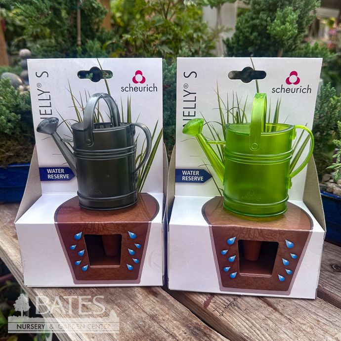 Nelly 5oz Water Reserve Watering Can for Self Watering w/ Clay Spike  Green